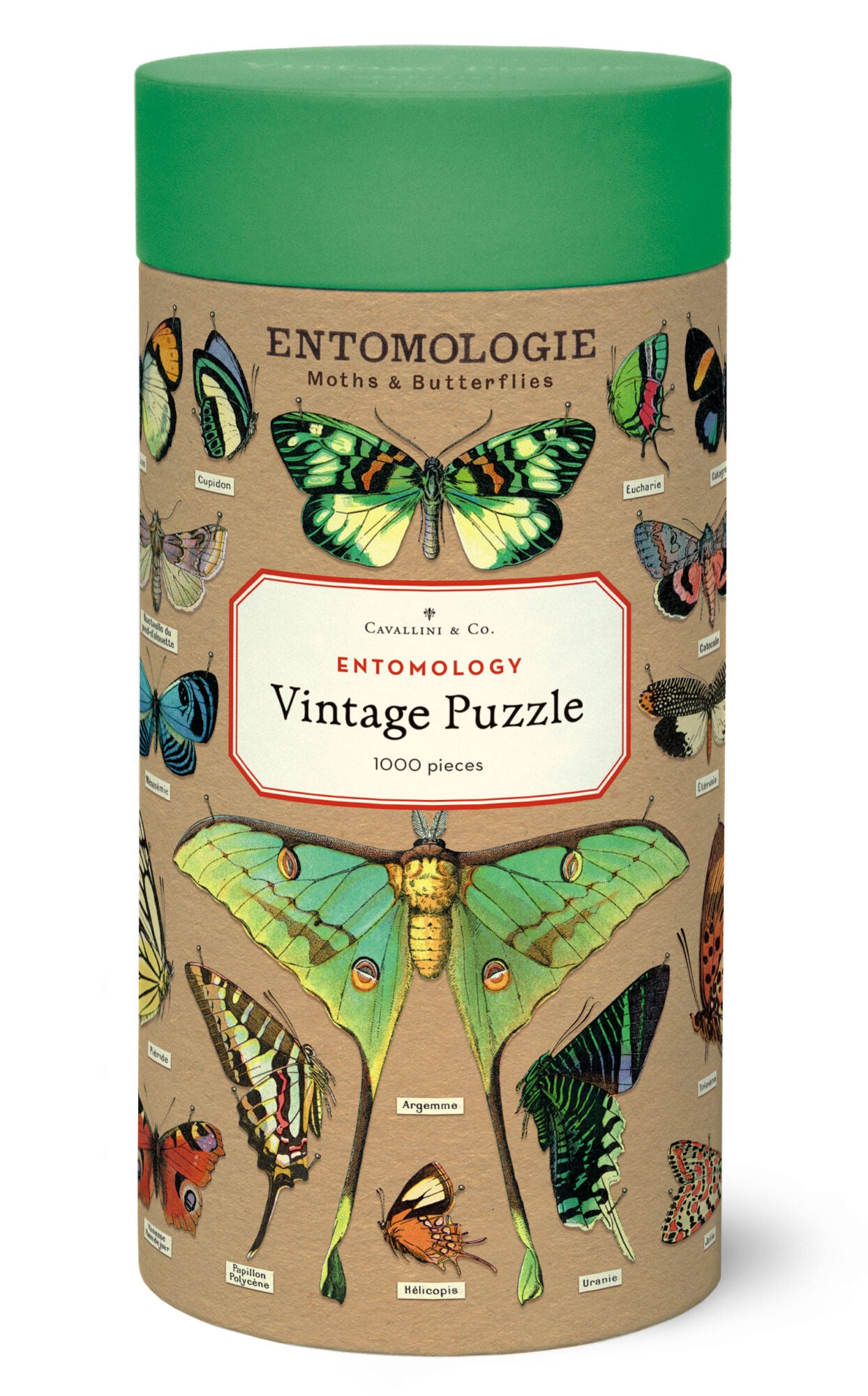 Cavallini 1000 Pc Puzzle - Entomology