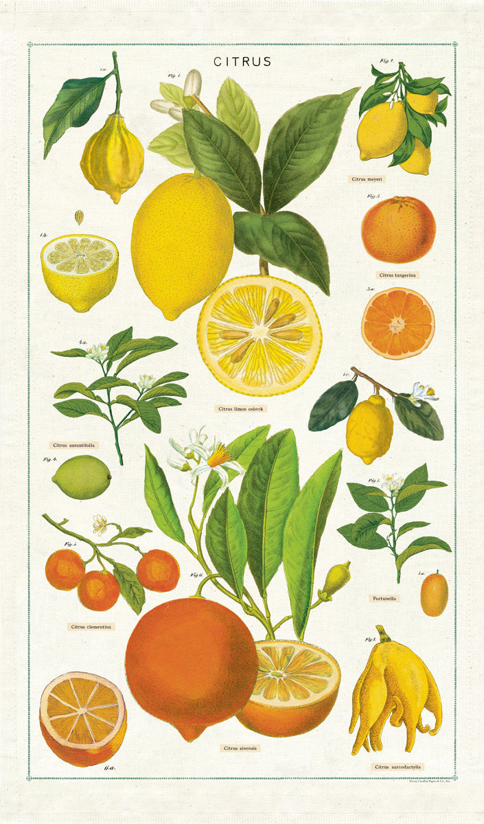 Tea Towel - Citrus