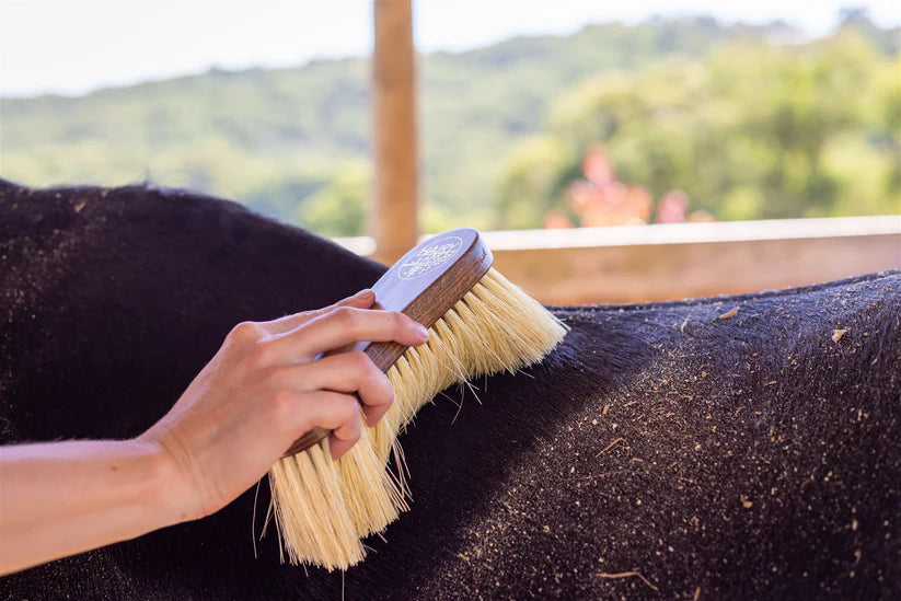 Mill & Hide - Hairy Pony - Flick Brush