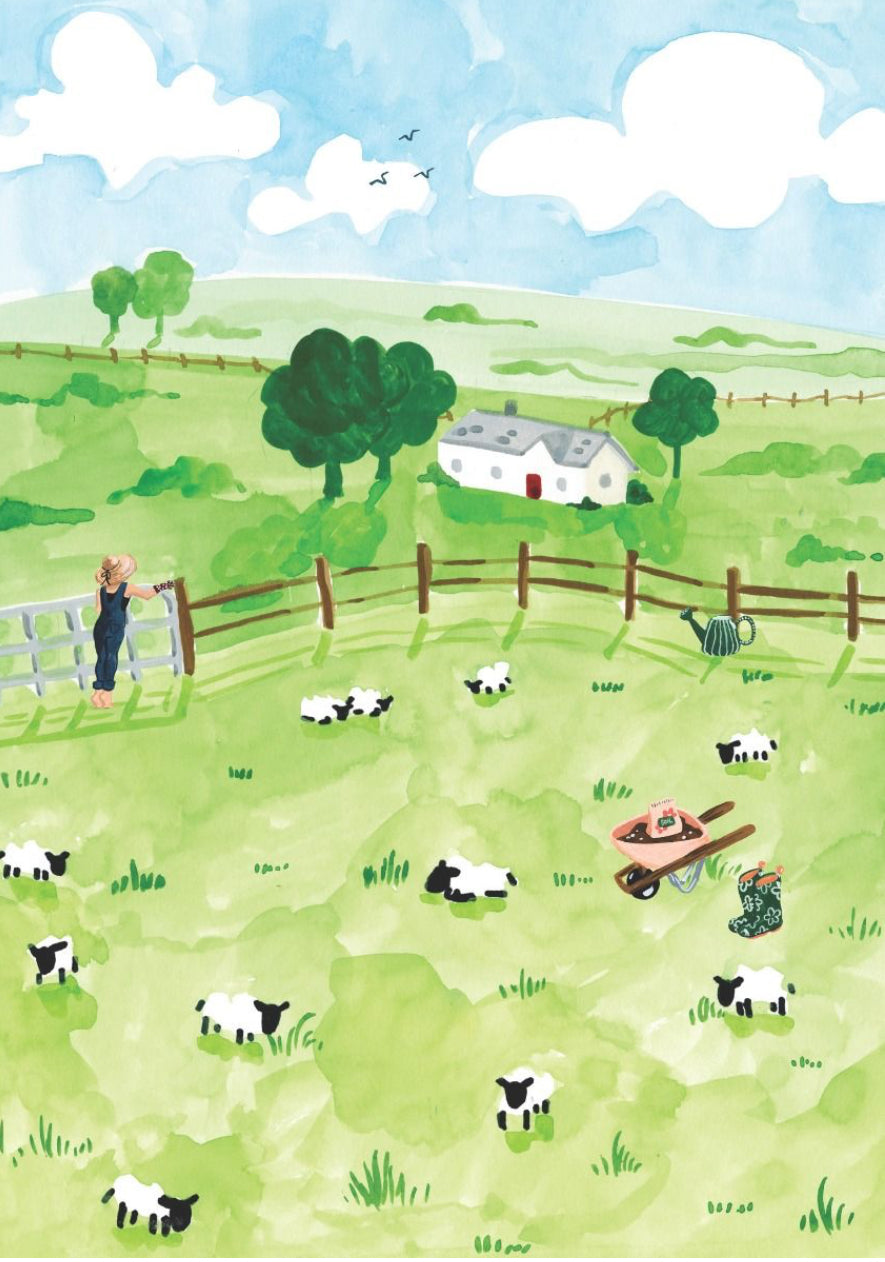 Greeting Card - Sheep On A Farm