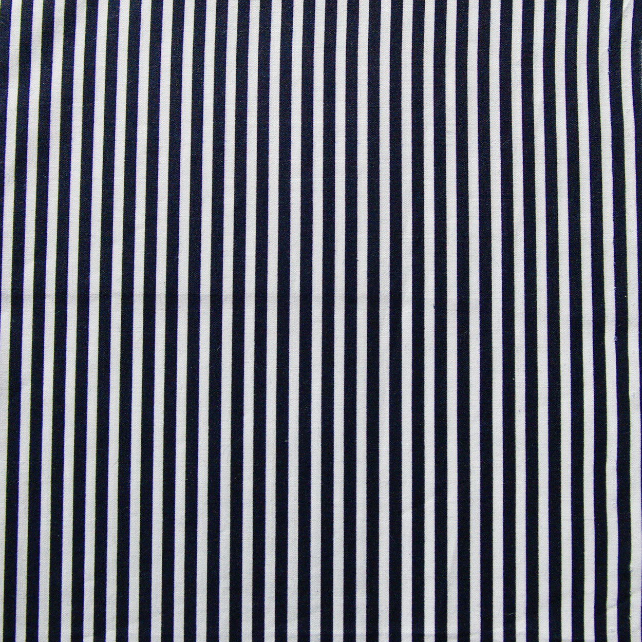 Poppy Stripe Navy & White Shirt