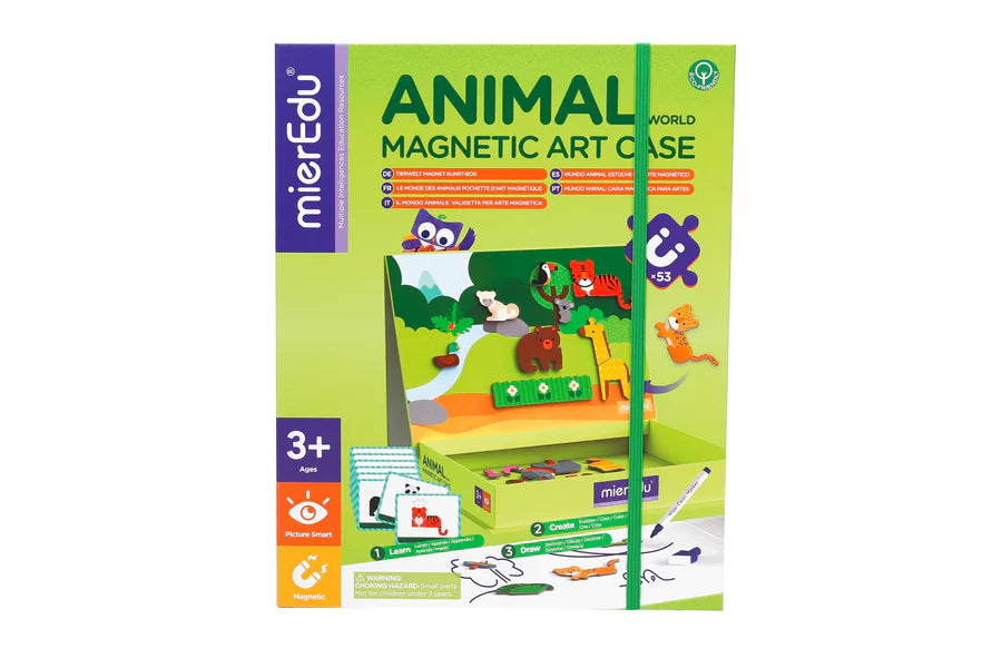 Magnetic Art Case