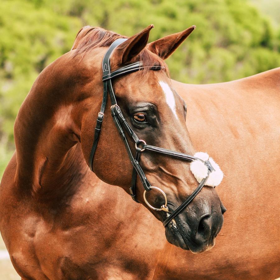 Mill &amp; Hide - Lumiere Equestrian - Ava Bridle